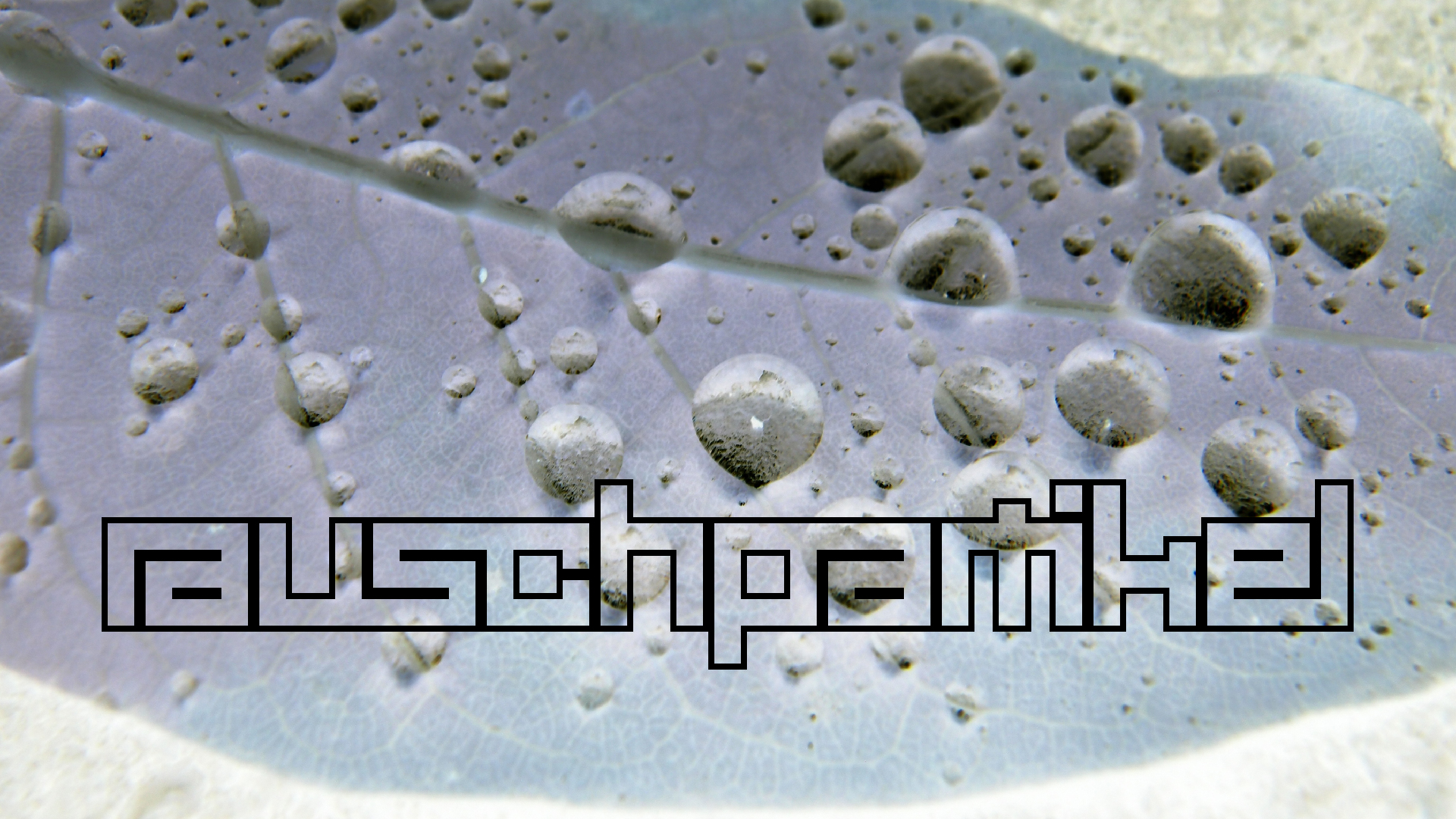 2021-10-25 Vocoder mit 2 Tonbndern (Audio, Foto, Grafk)