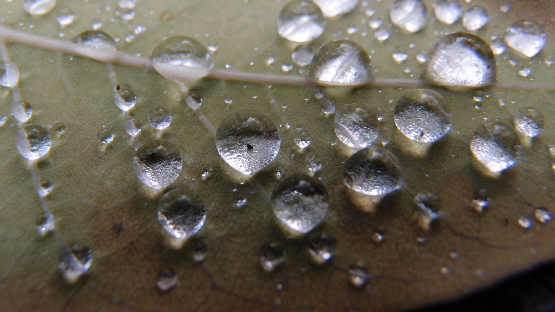 2021-10-25 Vocoder mit 2 Tonbndern (Audio, Foto, Grafk)