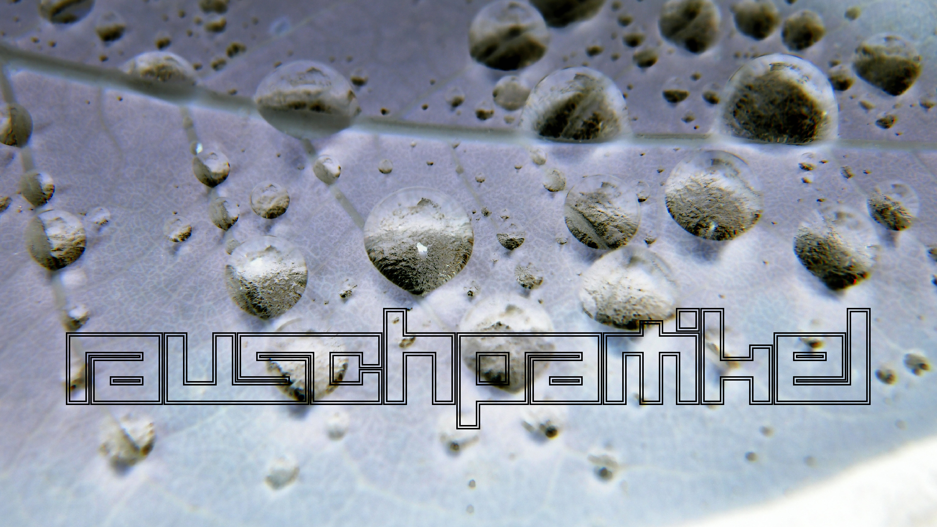 2021-10-25 Vocoder mit 2 Tonbndern (Audio, Foto, Grafk)