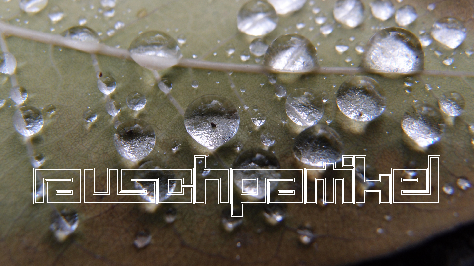 2021-10-25 Vocoder mit 2 Tonbndern (Audio, Foto, Grafk)