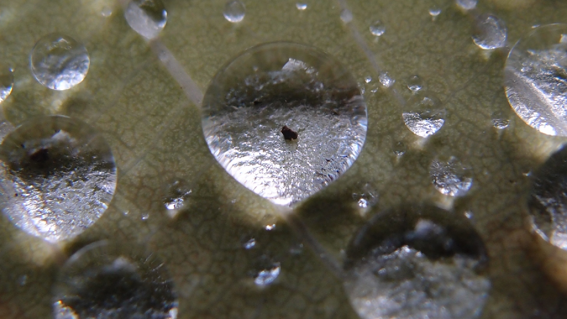 2021-10-25 Vocoder mit 2 Tonbndern (Audio, Foto, Grafk)