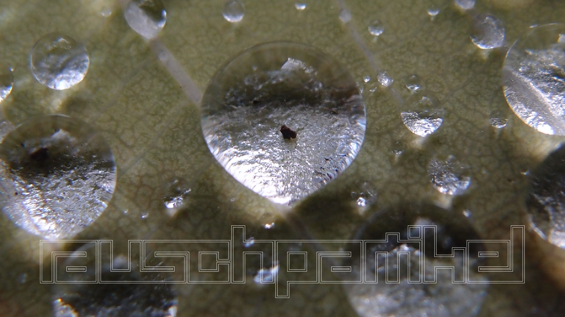 2021-10-25 Vocoder mit 2 Tonbndern (Audio, Foto, Grafk)