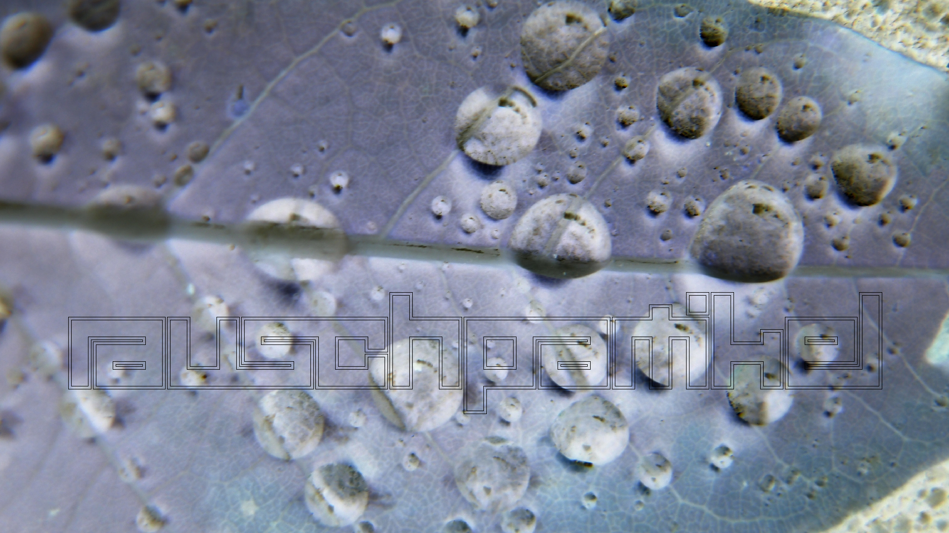 2021-10-25 Vocoder mit 2 Tonbndern (Audio, Foto, Grafk)