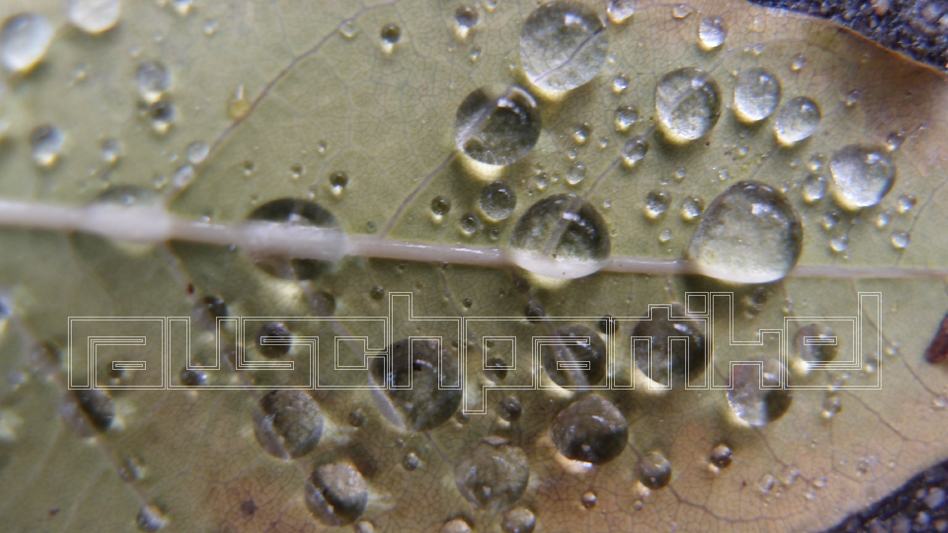 2021-10-25 Vocoder mit 2 Tonbndern (Audio, Foto, Grafk)