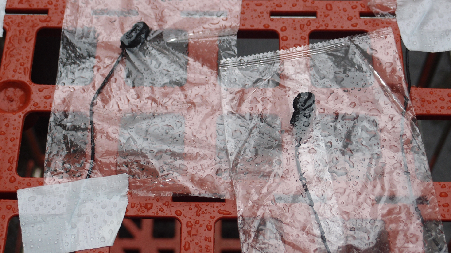 2021-11-04 Das Kleine Regen Rhythmus Orchester (5 Plastikt�ten) (Audio, Foto, Grafik)