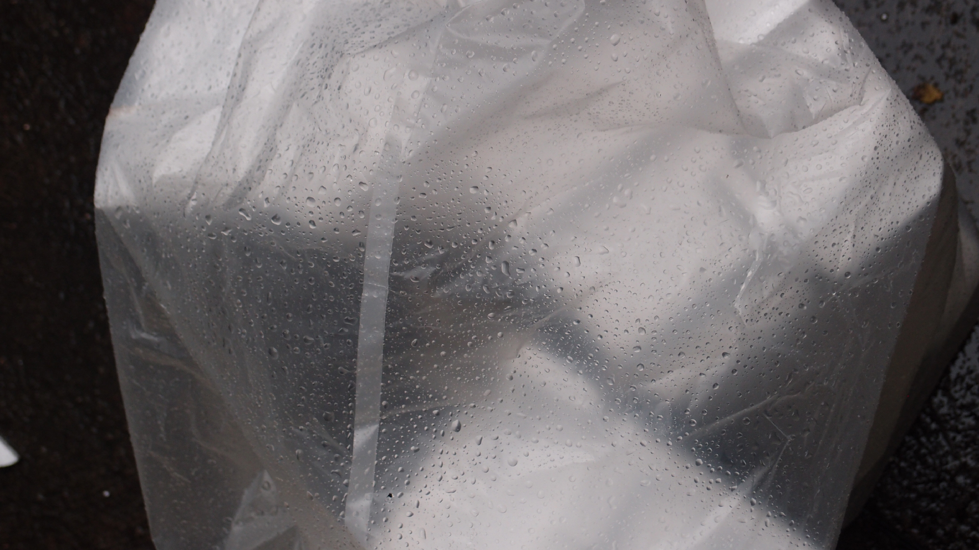 2021-11-04 Das Kleine Regen Rhythmus Orchester (5 Plastikt�ten) (Audio, Foto, Grafik)