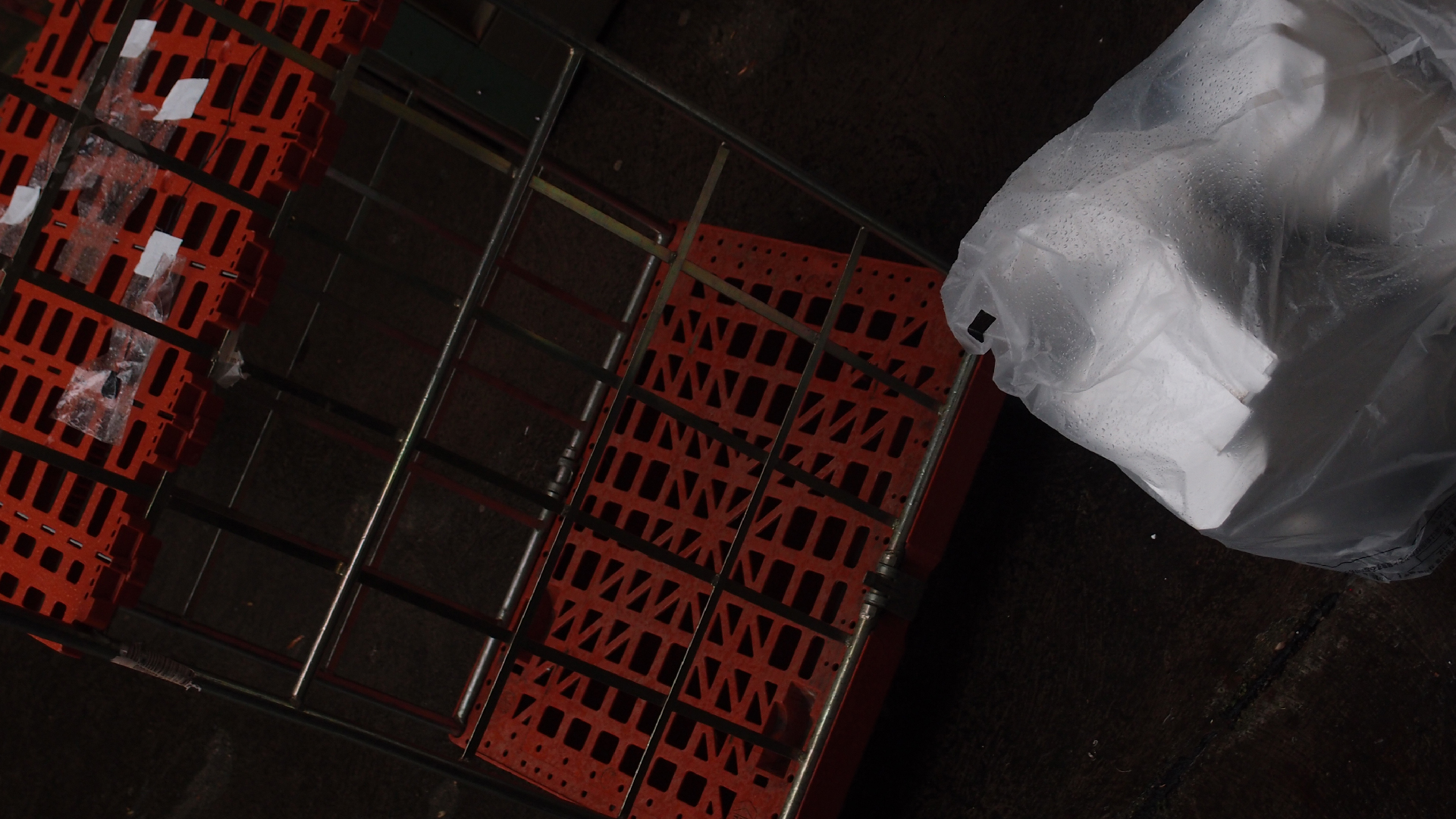 2021-11-04 Das Kleine Regen Rhythmus Orchester (5 Plastikt�ten) (Audio, Foto, Grafik)