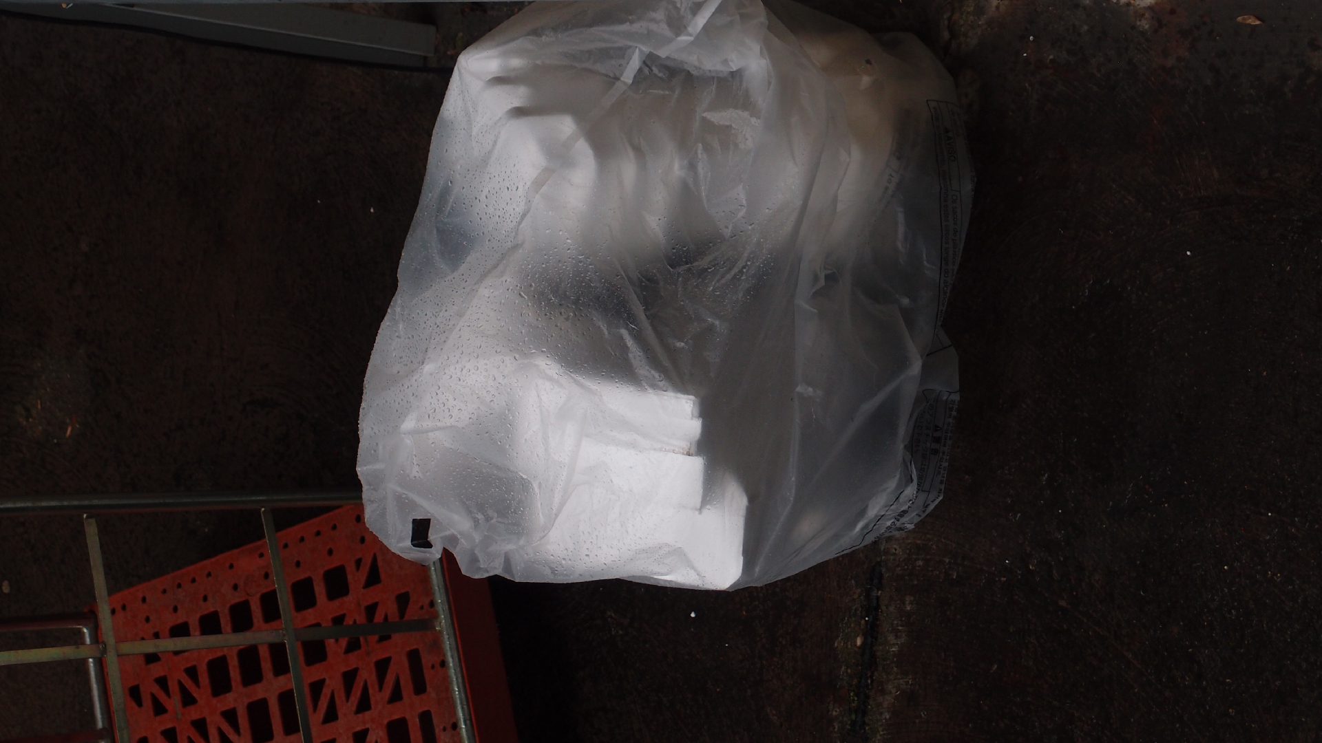 2021-11-04 Das Kleine Regen Rhythmus Orchester (5 Plastikt�ten) (Audio, Foto, Grafik)