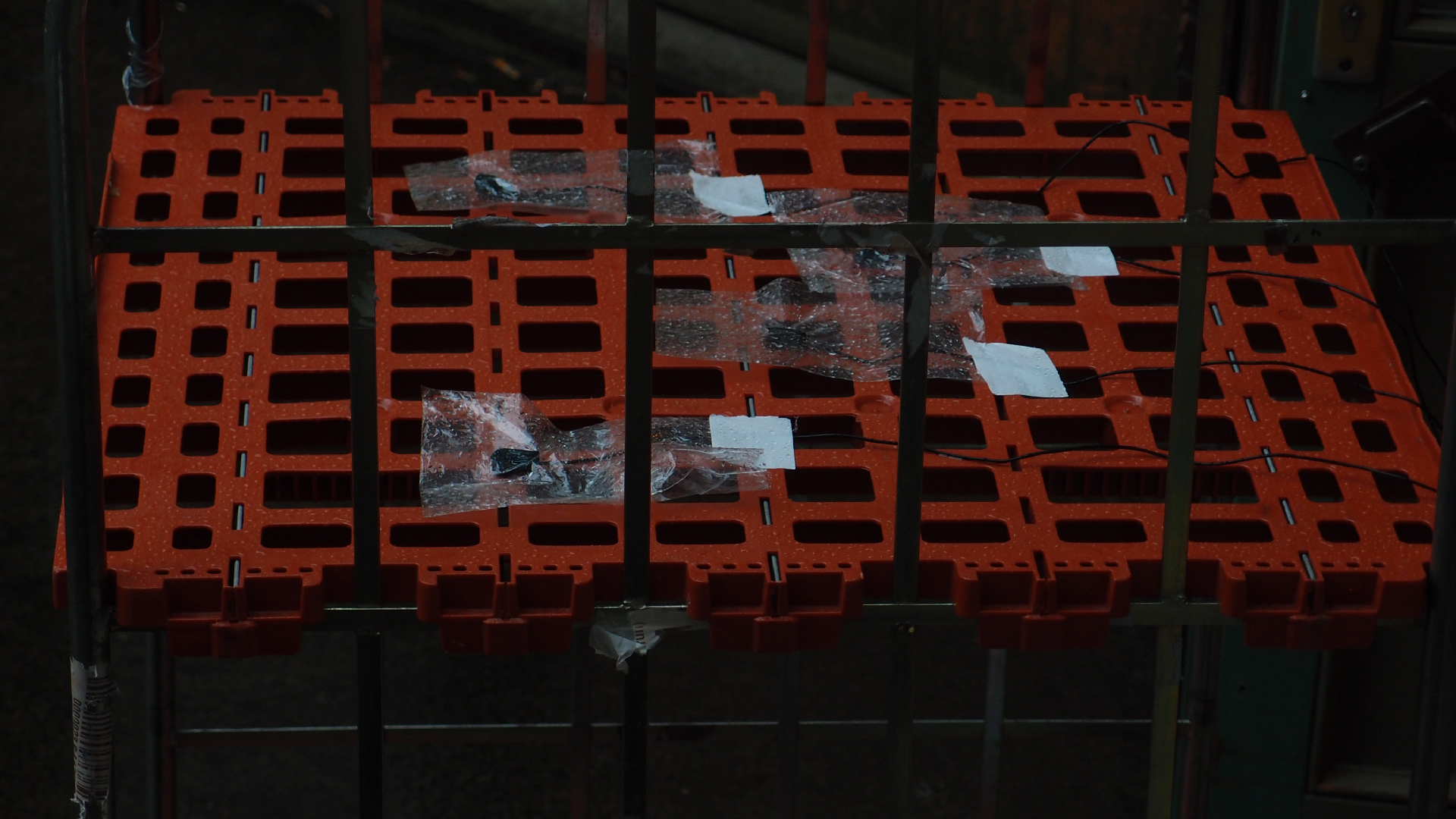 2021-11-04 Das Kleine Regen Rhythmus Orchester (5 Plastikt�ten) (Audio, Foto, Grafik)