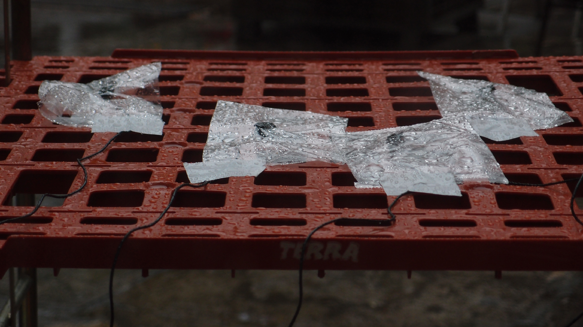 2021-11-04 Das Kleine Regen Rhythmus Orchester (5 Plastikt�ten) (Audio, Foto, Grafik)