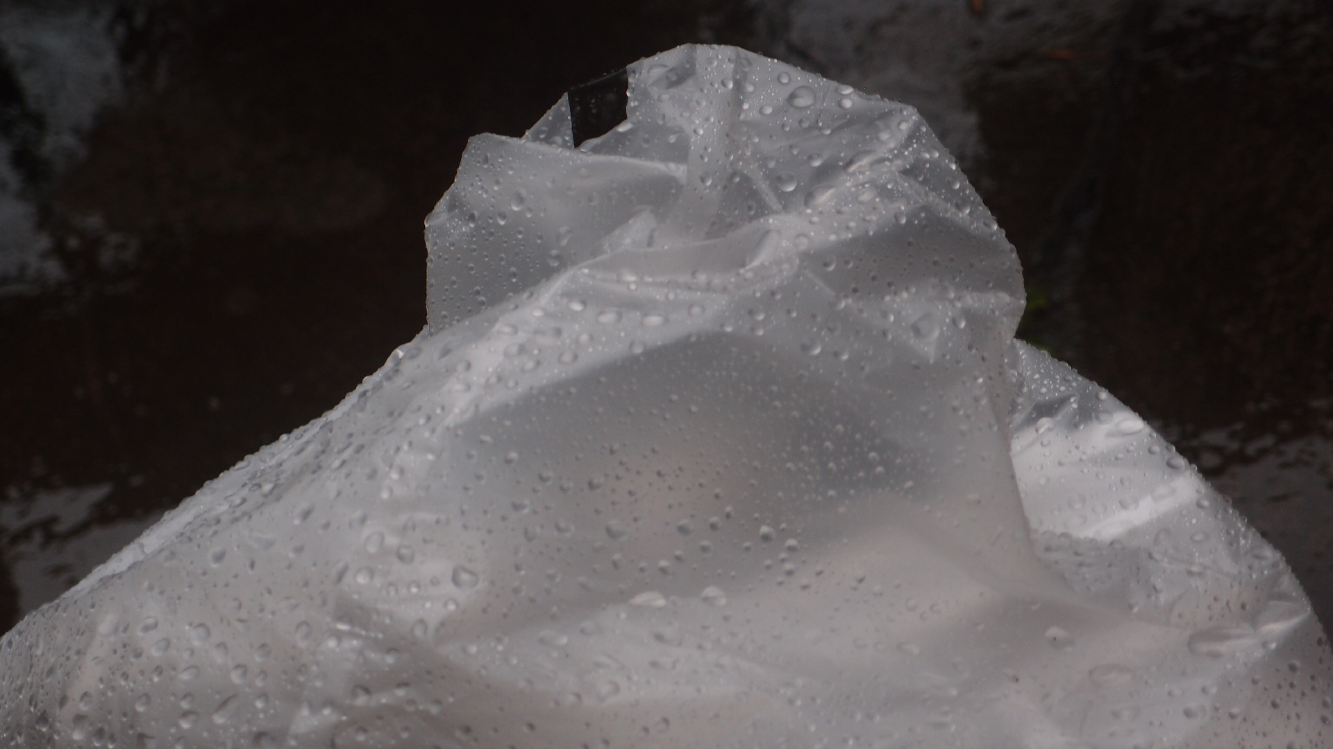 2021-11-04 Das Kleine Regen Rhythmus Orchester (5 Plastikt�ten) (Audio, Foto, Grafik)