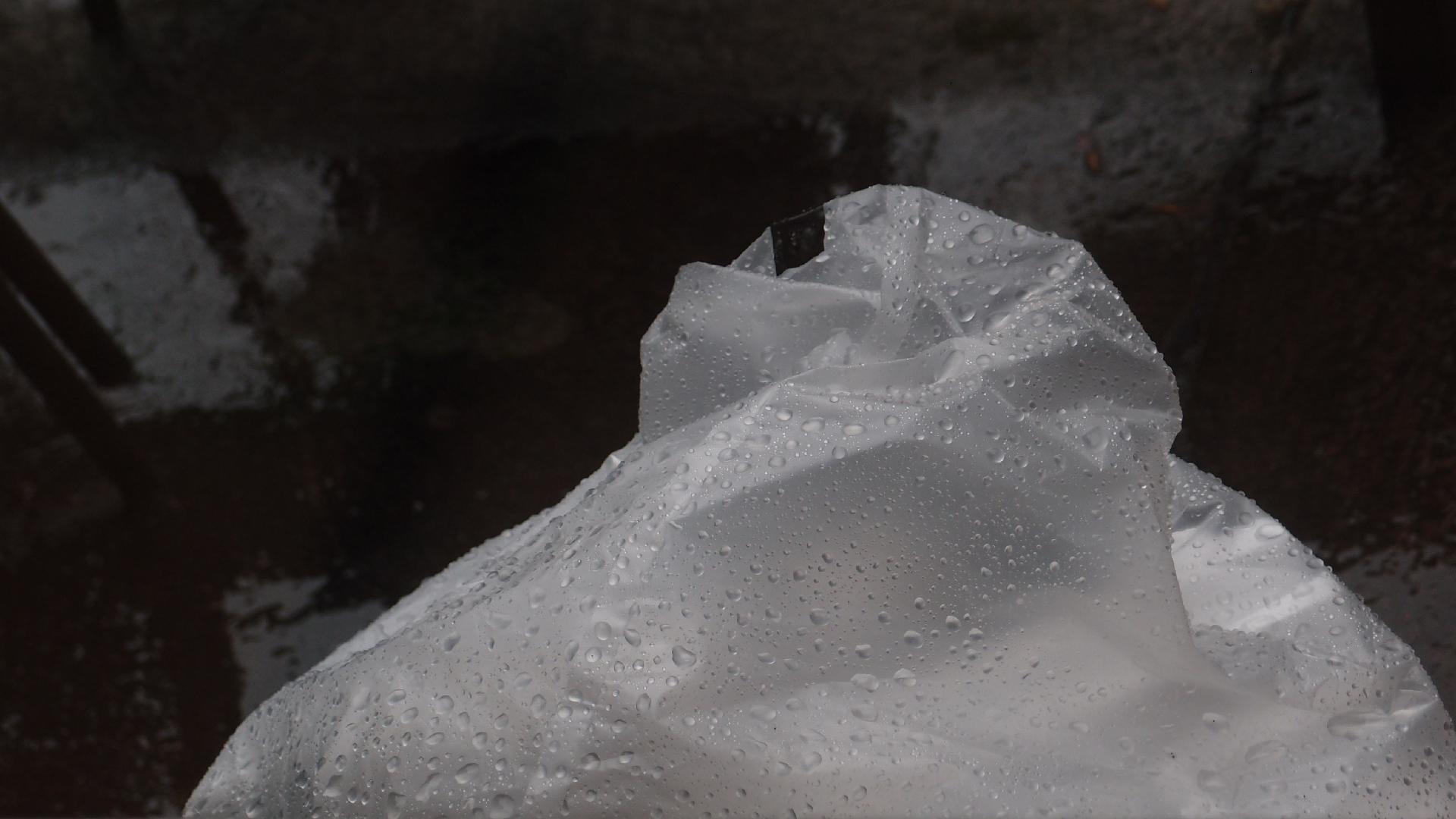 2021-11-04 Das Kleine Regen Rhythmus Orchester (5 Plastikt�ten) (Audio, Foto, Grafik)