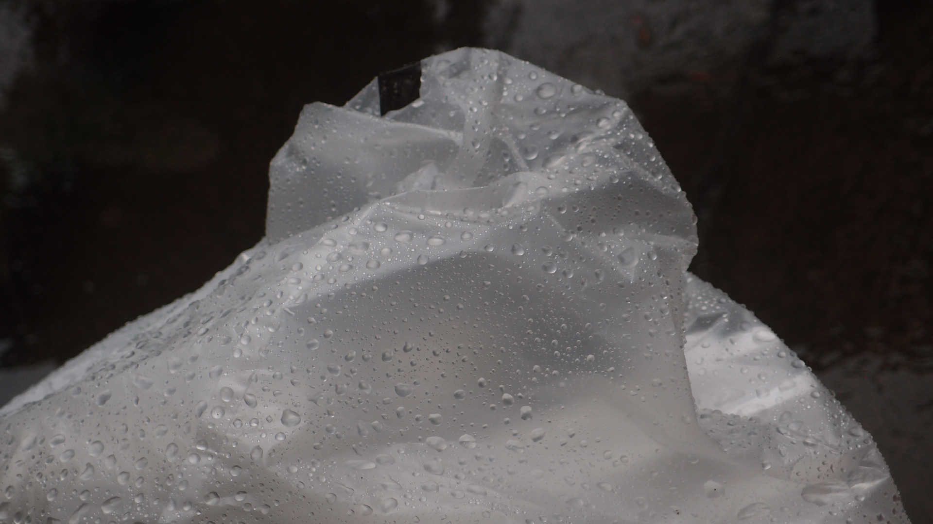 2021-11-04 Das Kleine Regen Rhythmus Orchester (5 Plastikt�ten) (Audio, Foto, Grafik)