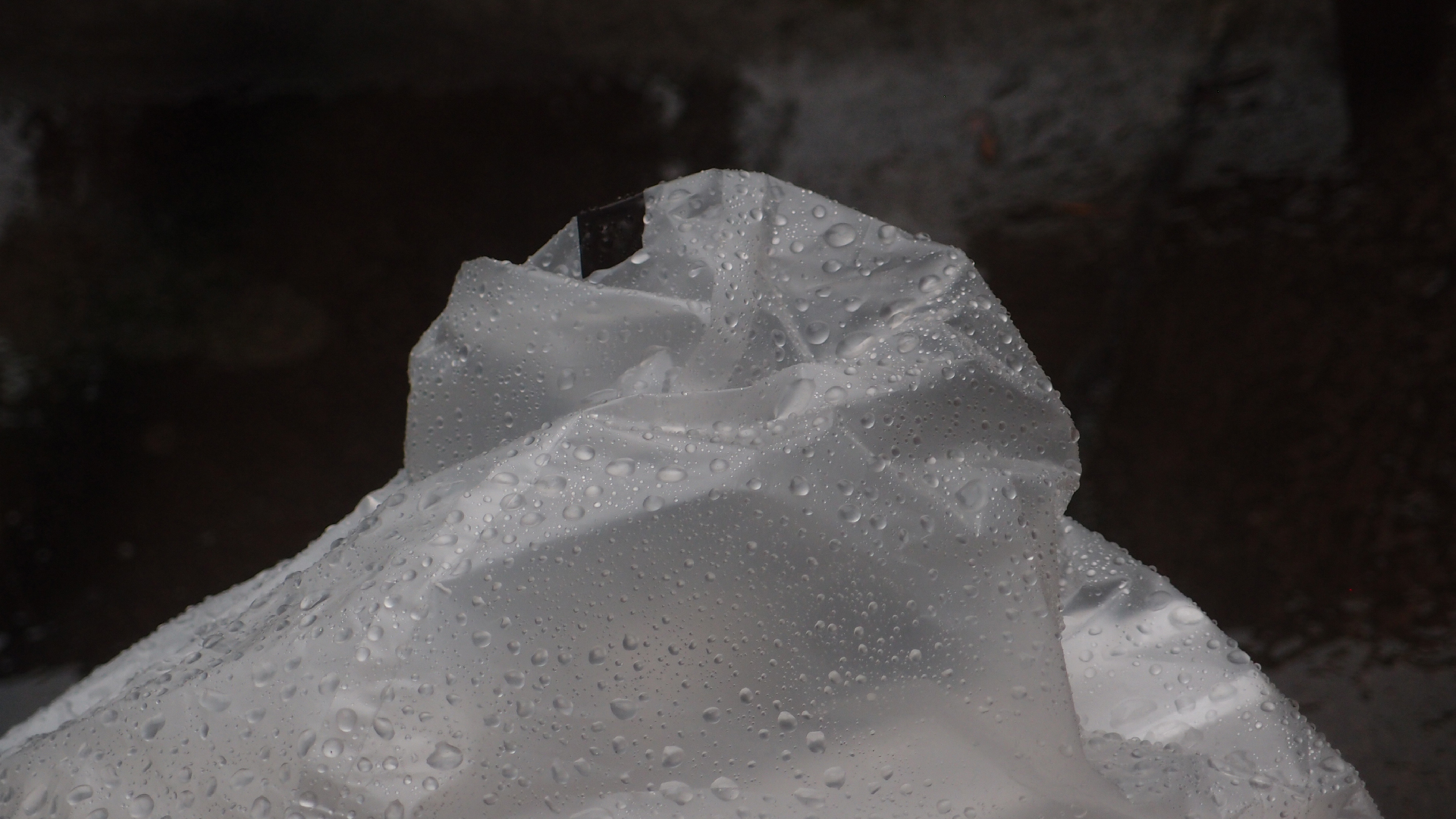 2021-11-04 Das Kleine Regen Rhythmus Orchester (5 Plastikt�ten) (Audio, Foto, Grafik)