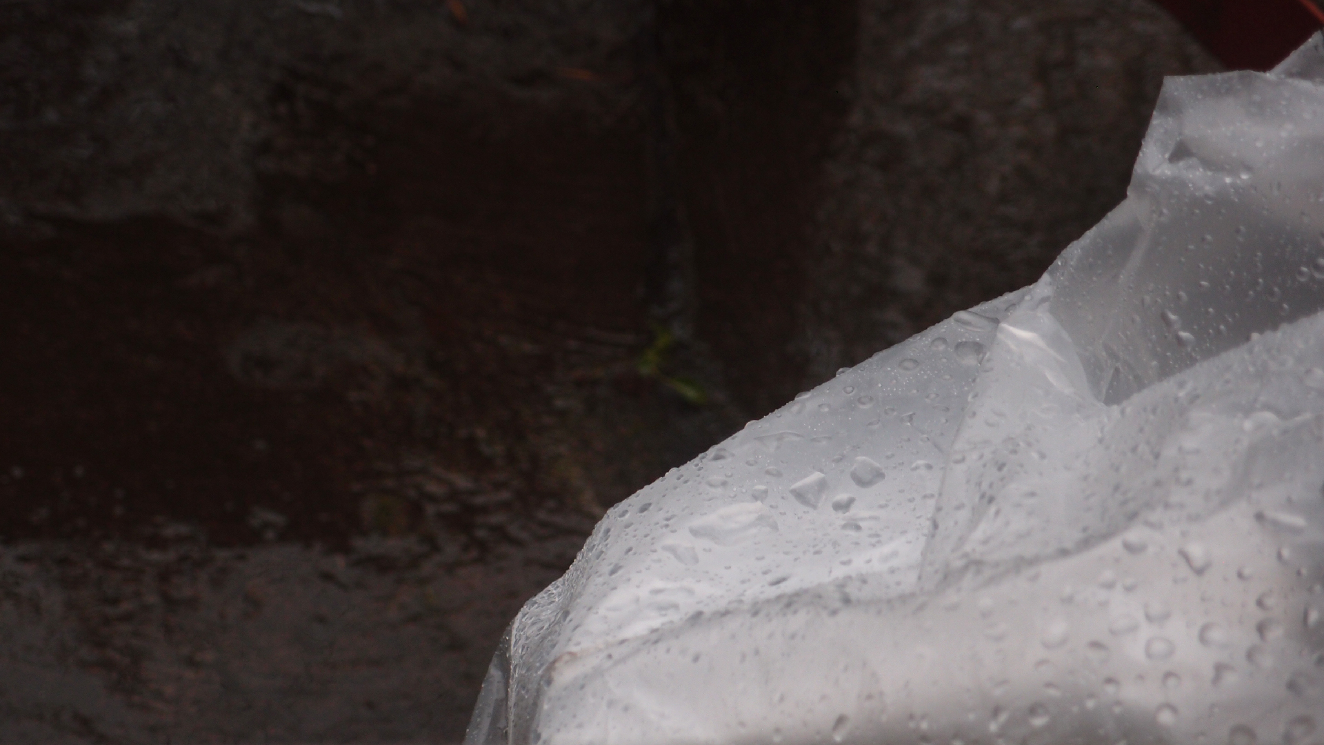 2021-11-04 Das Kleine Regen Rhythmus Orchester (5 Plastikt�ten) (Audio, Foto, Grafik)