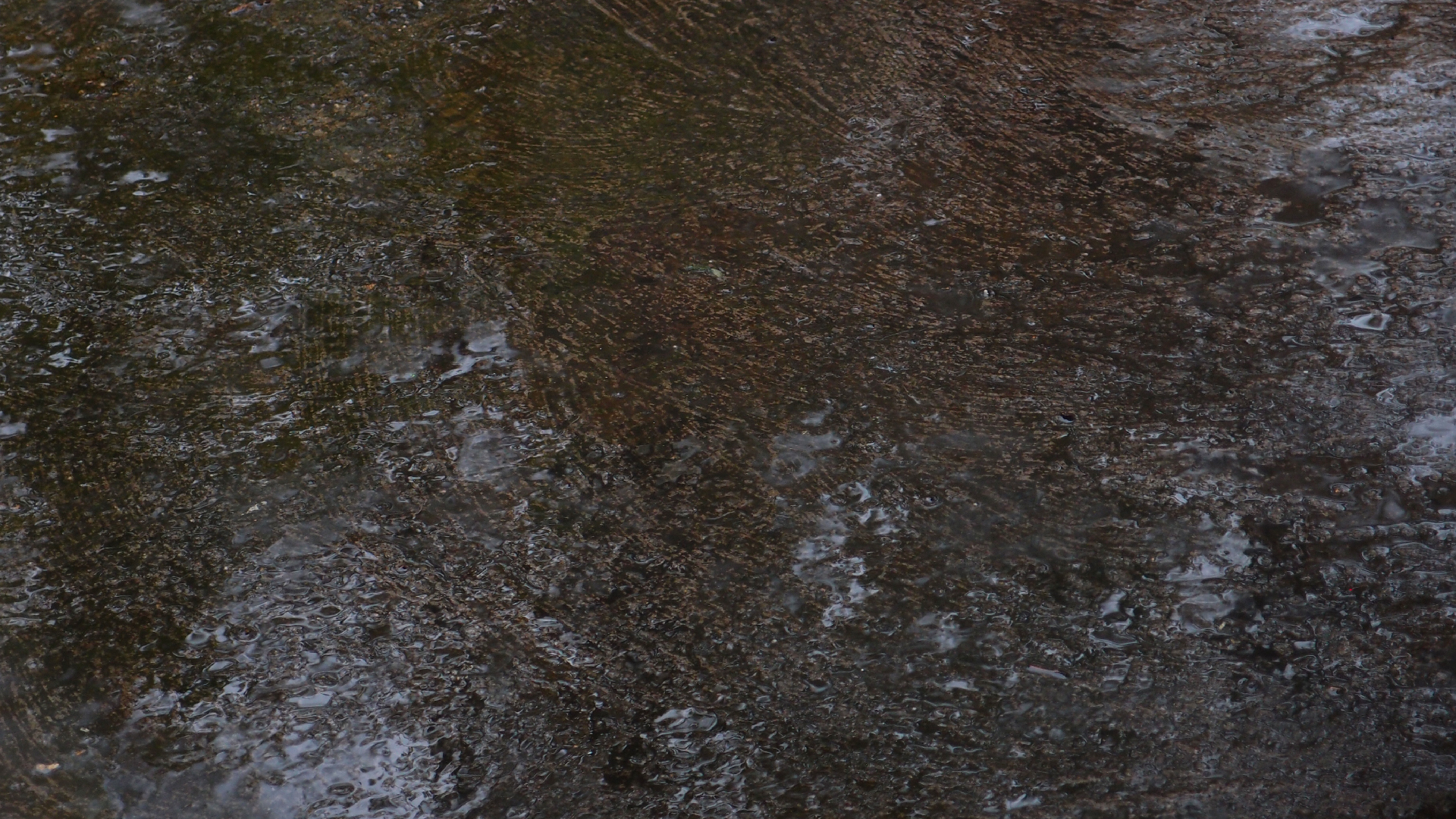 2021-11-04 Das Kleine Regen Rhythmus Orchester (5 Plastikt�ten) (Audio, Foto, Grafik)