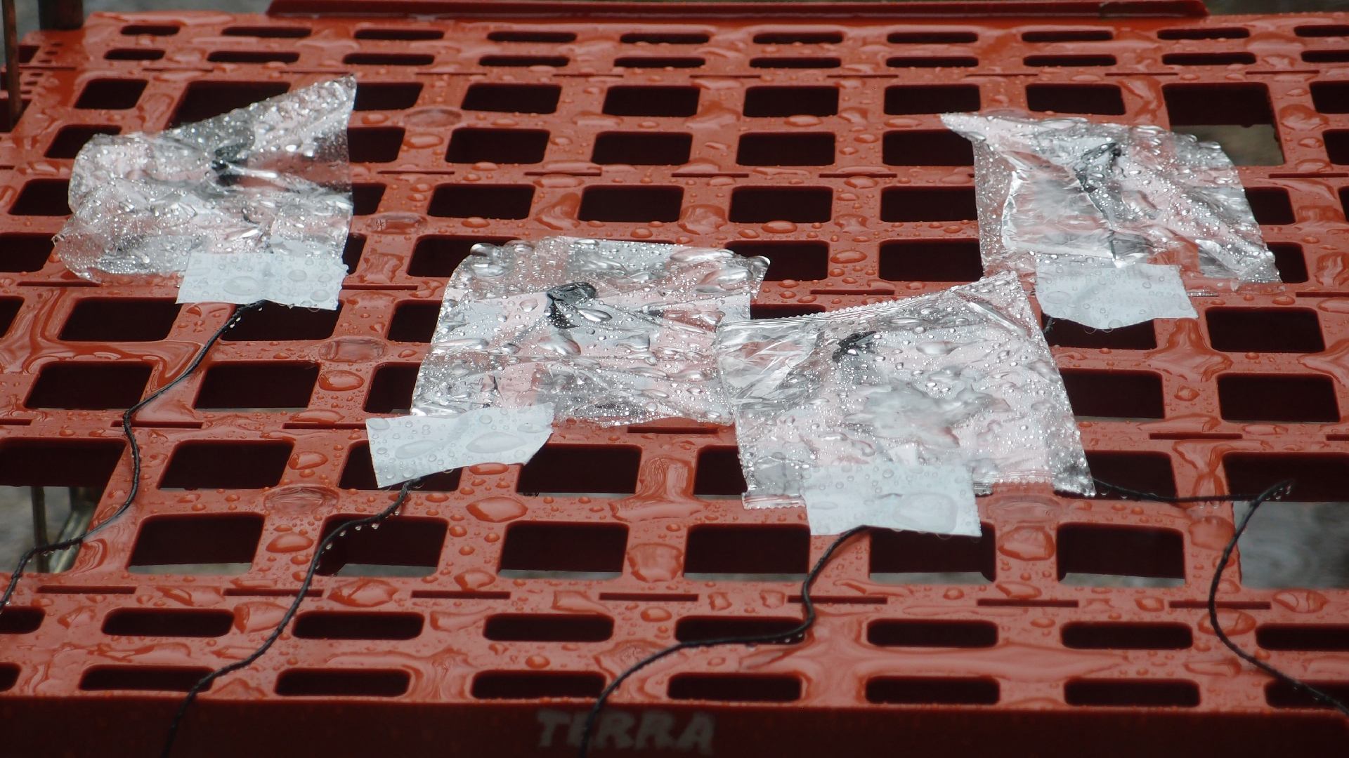 2021-11-04 Das Kleine Regen Rhythmus Orchester (5 Plastikt�ten) (Audio, Foto, Grafik)