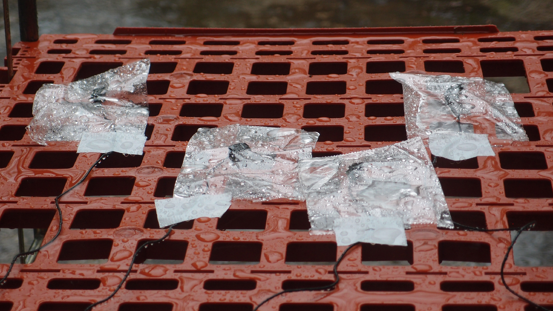 2021-11-04 Das Kleine Regen Rhythmus Orchester (5 Plastikt�ten) (Audio, Foto, Grafik)