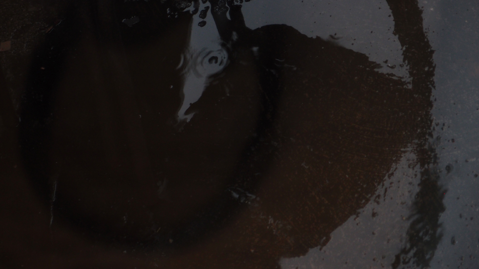 2021-11-04 Das Kleine Regen Rhythmus Orchester (5 Plastikt�ten) (Audio, Foto, Grafik)