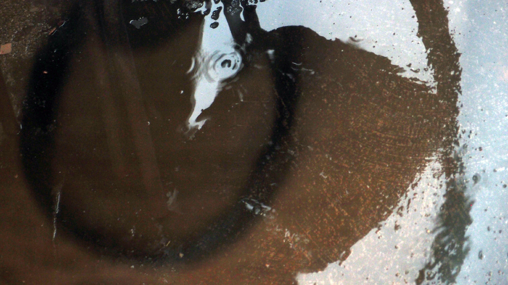 2021-11-04 Das Kleine Regen Rhythmus Orchester (5 Plastikt�ten) (Audio, Foto, Grafik)