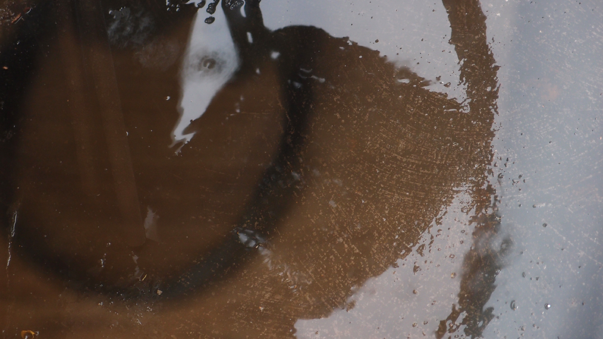 2021-11-04 Das Kleine Regen Rhythmus Orchester (5 Plastikt�ten) (Audio, Foto, Grafik)