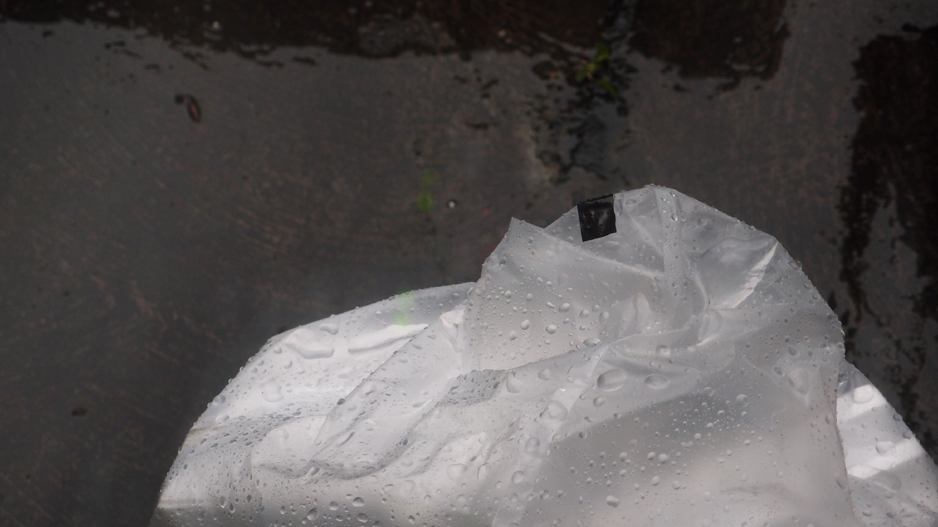 2021-11-04 Das Kleine Regen Rhythmus Orchester (5 Plastikt�ten) (Audio, Foto, Grafik)