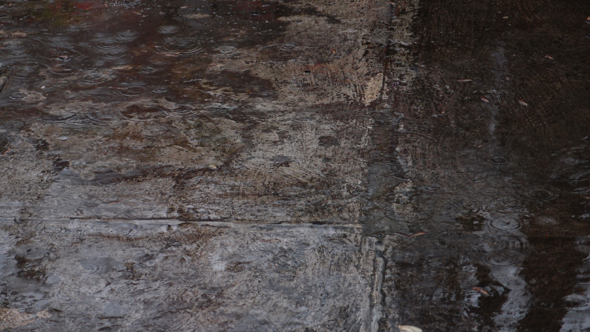 2021-11-04 Das Kleine Regen Rhythmus Orchester (5 Plastikt�ten) (Audio, Foto, Grafik)