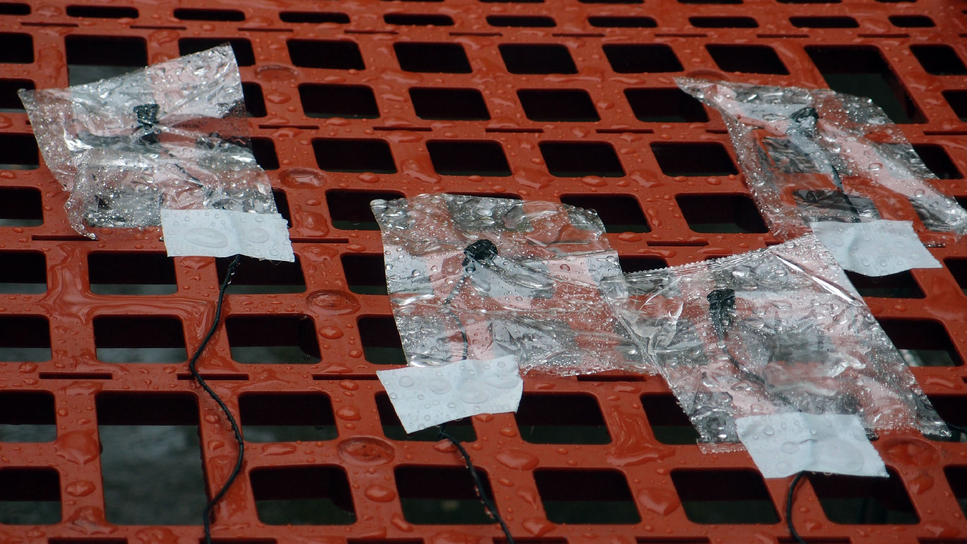 2021-11-04 Das Kleine Regen Rhythmus Orchester (5 Plastikt�ten) (Audio, Foto, Grafik)