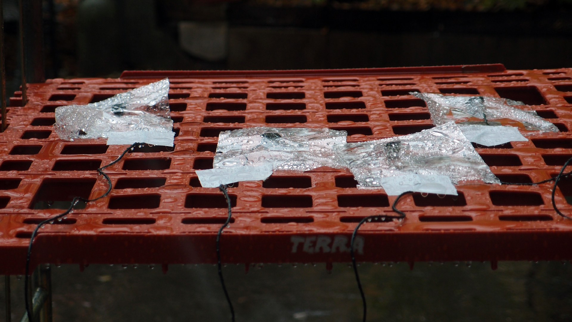 2021-11-04 Das Kleine Regen Rhythmus Orchester (5 Plastikt�ten) (Audio, Foto, Grafik)