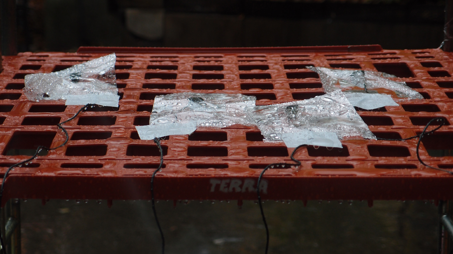 2021-11-04 Das Kleine Regen Rhythmus Orchester (5 Plastikt�ten) (Audio, Foto, Grafik)