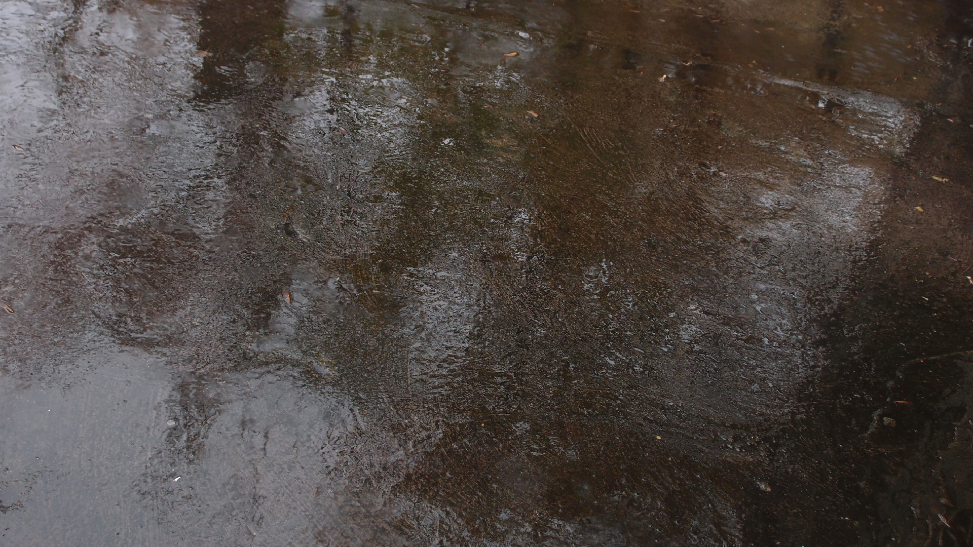 2021-11-04 Das Kleine Regen Rhythmus Orchester (5 Plastikt�ten) (Audio, Foto, Grafik)