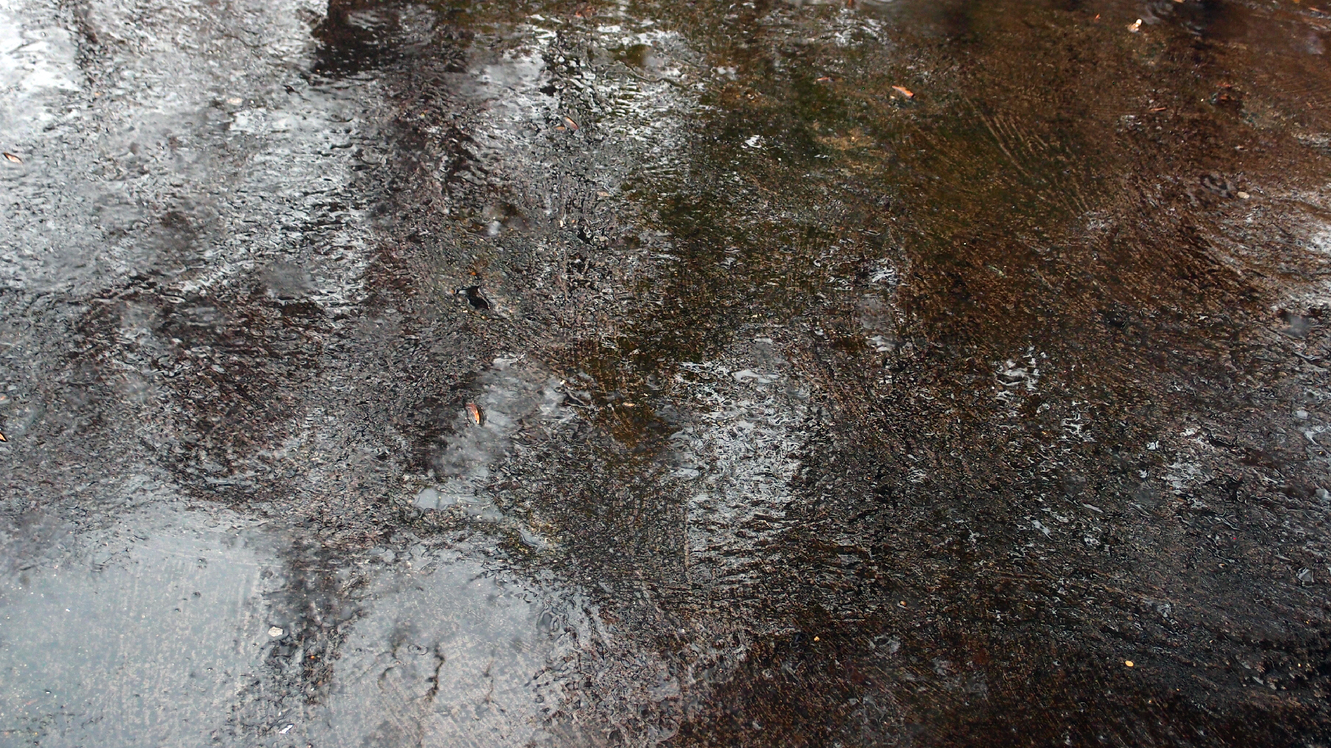 2021-11-04 Das Kleine Regen Rhythmus Orchester (5 Plastikt�ten) (Audio, Foto, Grafik)