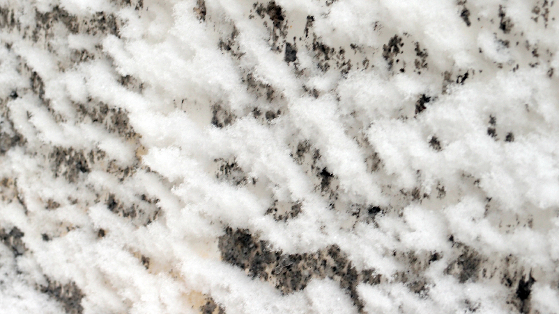 2021-12-09 & 10 Das Kleine Regen Rhythmus Orchester (Schnee auf Alufolie) (Audio, Foto, Typo Grafik)