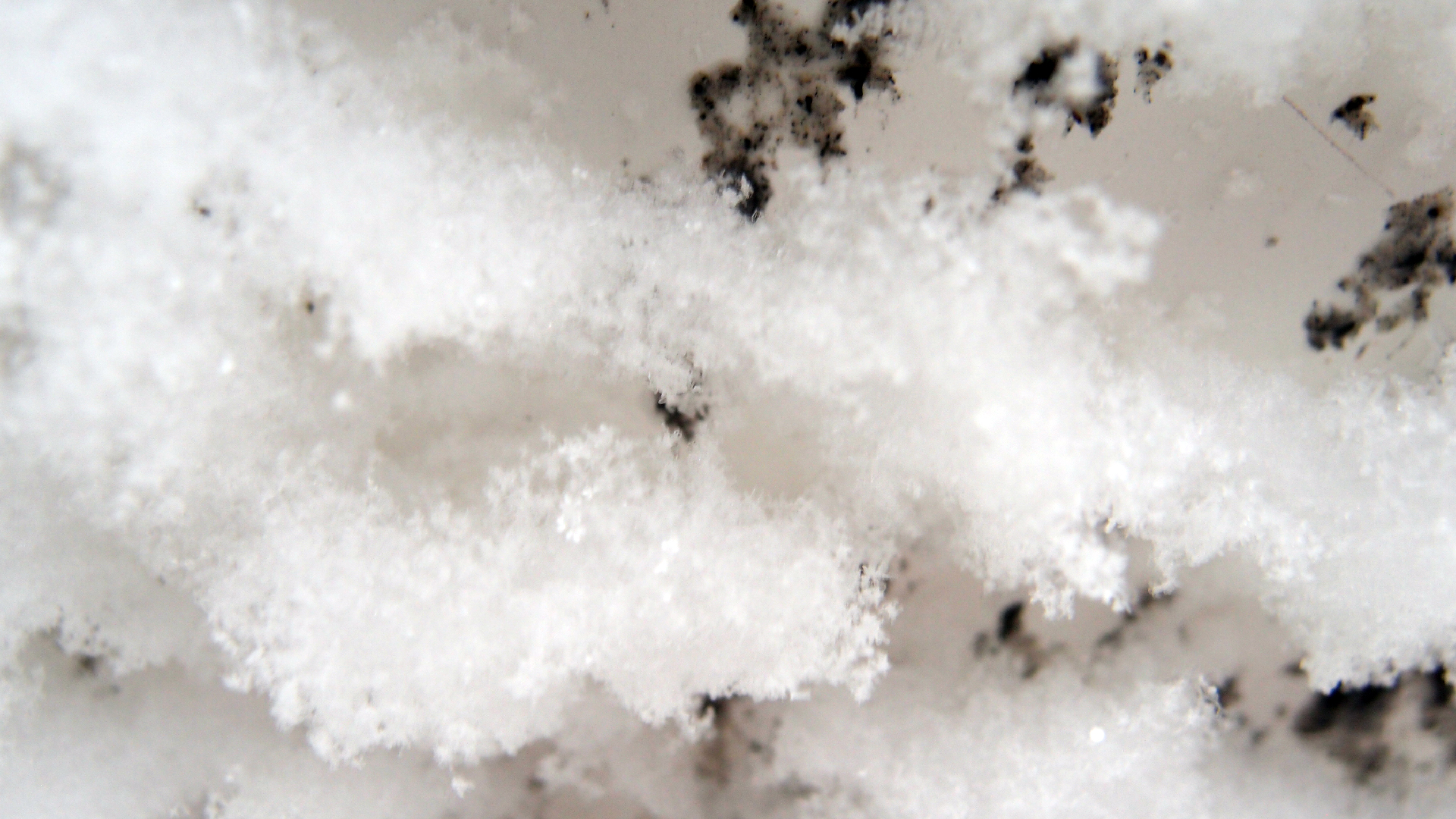 2021-12-09 & 10 Das Kleine Regen Rhythmus Orchester (Schnee auf Alufolie) (Audio, Foto, Typo Grafik)