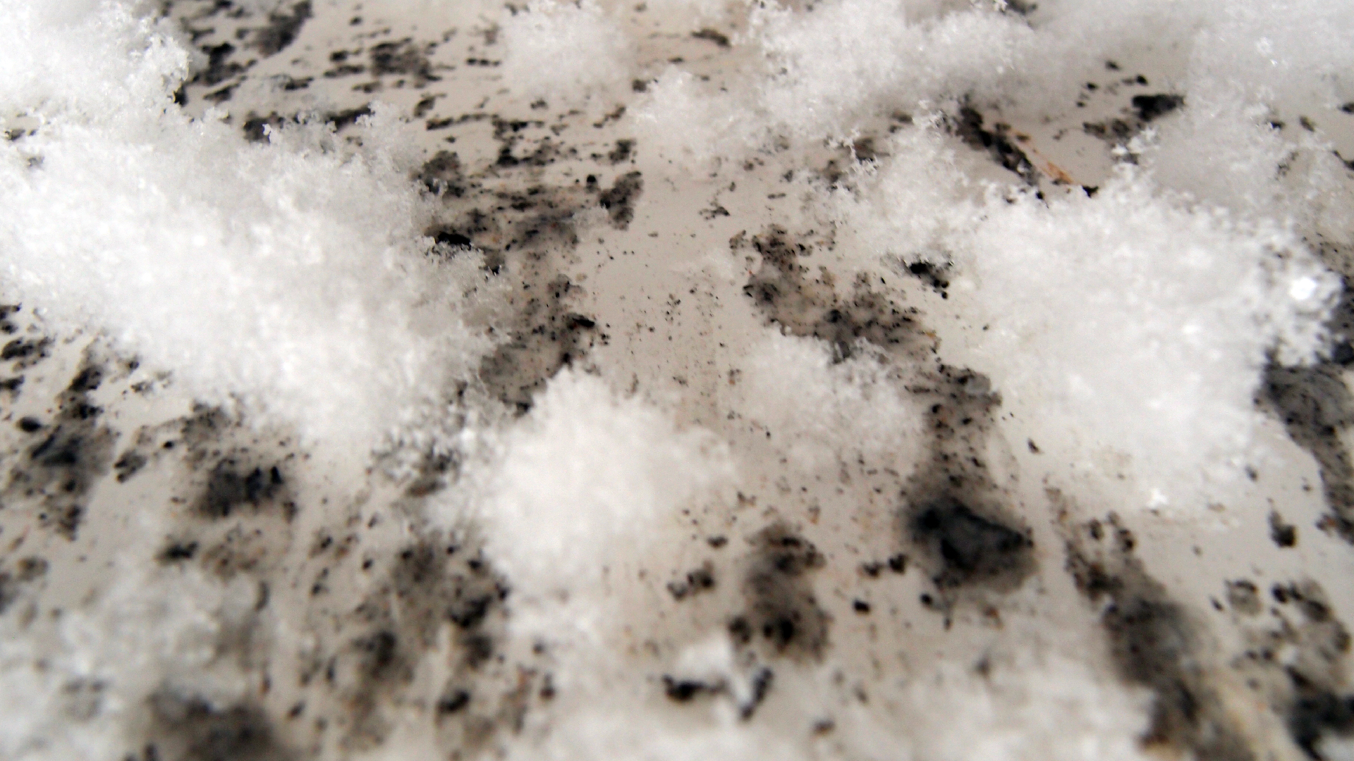 2021-12-09 & 10 Das Kleine Regen Rhythmus Orchester (Schnee auf Alufolie) (Audio, Foto, Typo Grafik)