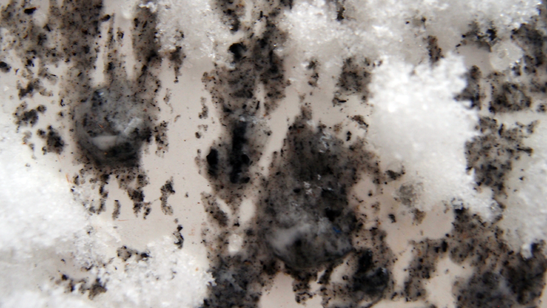 2021-12-09 & 10 Das Kleine Regen Rhythmus Orchester (Schnee auf Alufolie) (Audio, Foto, Typo Grafik)