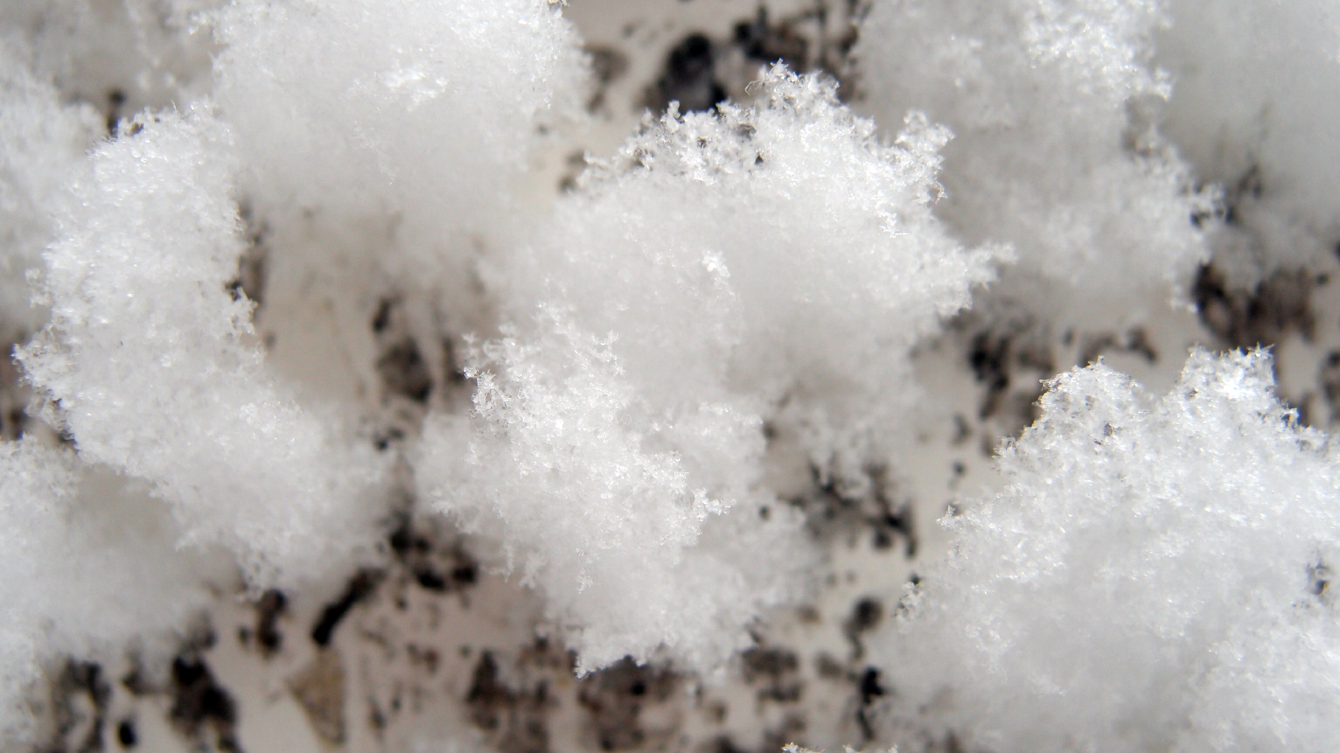 2021-12-09 & 10 Das Kleine Regen Rhythmus Orchester (Schnee auf Alufolie) (Audio, Foto, Typo Grafik)