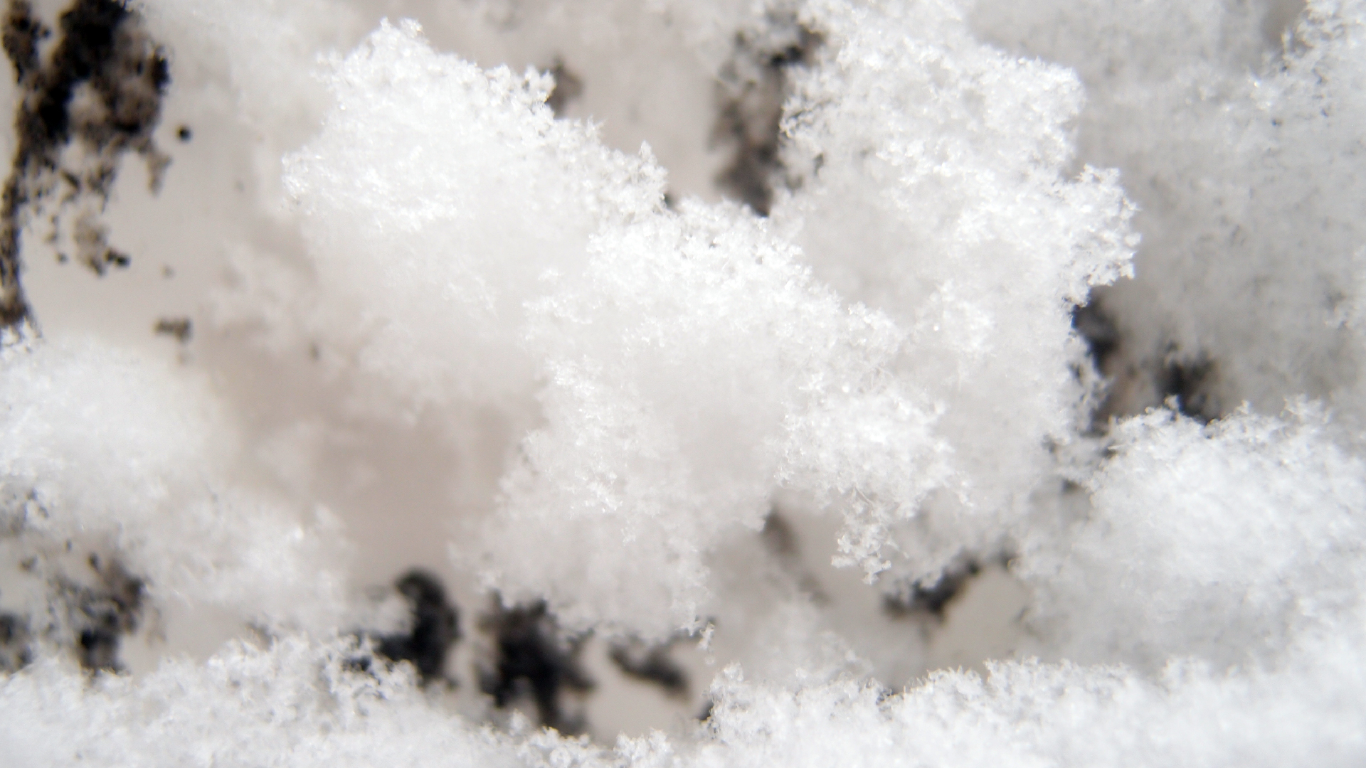 2021-12-09 & 10 Das Kleine Regen Rhythmus Orchester (Schnee auf Alufolie) (Audio, Foto, Typo Grafik)