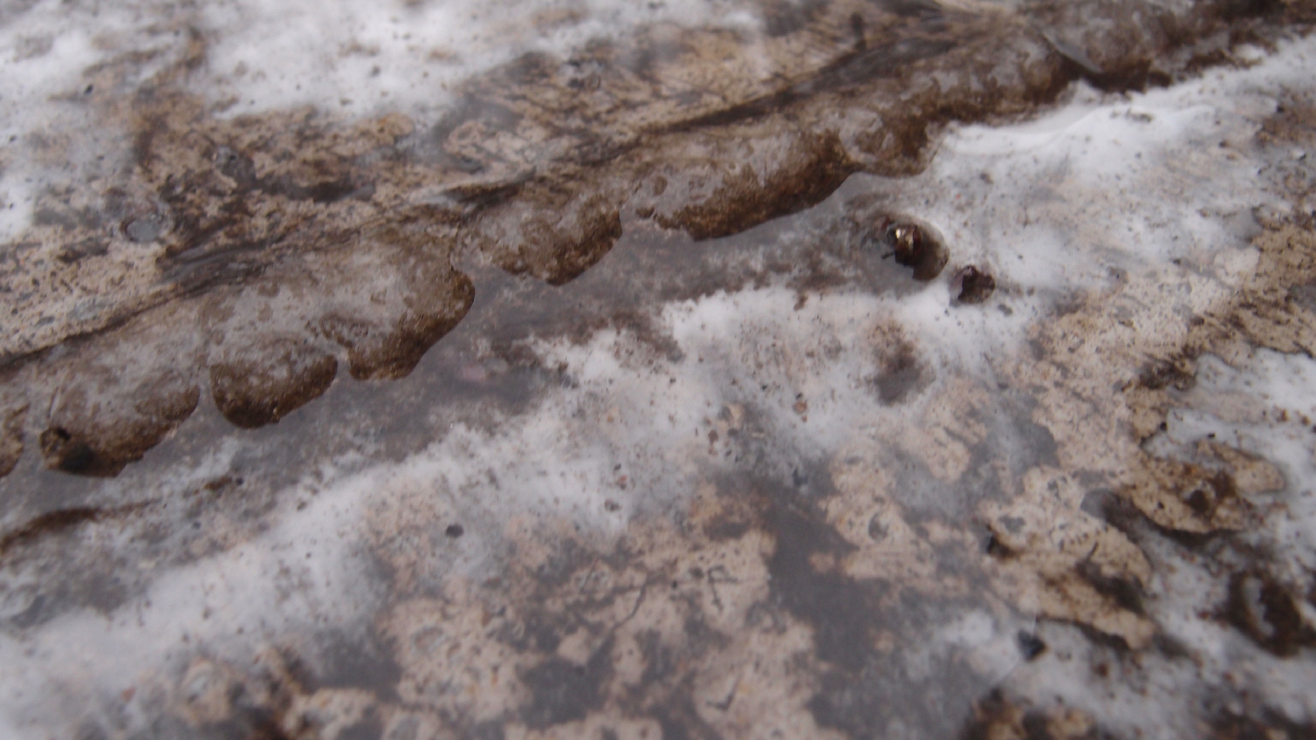 2021-12-09 & 10 Das Kleine Regen Rhythmus Orchester (Schnee auf Alufolie) (Audio, Foto, Typo Grafik)