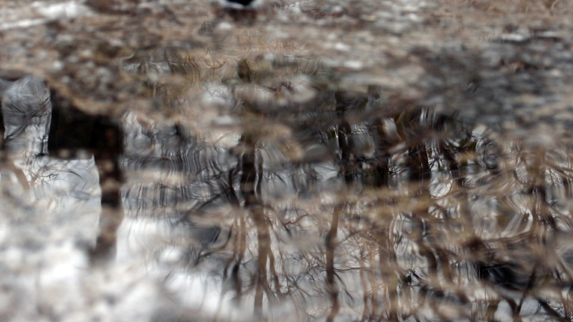 2021-12-09 & 10 Das Kleine Regen Rhythmus Orchester (Schnee auf Alufolie) (Audio, Foto, Typo Grafik)