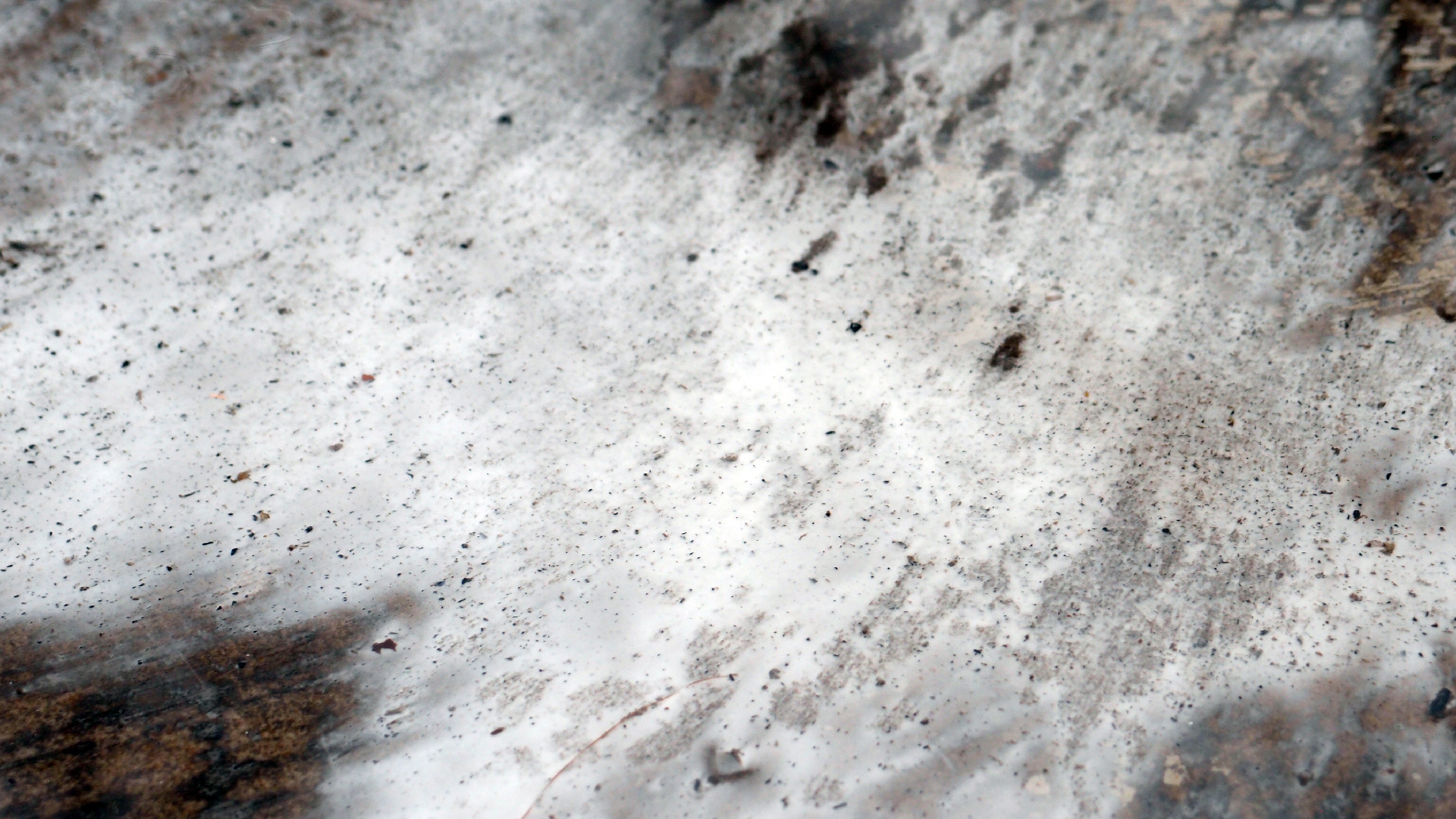 2021-12-09 & 10 Das Kleine Regen Rhythmus Orchester (Schnee auf Alufolie) (Audio, Foto, Typo Grafik)