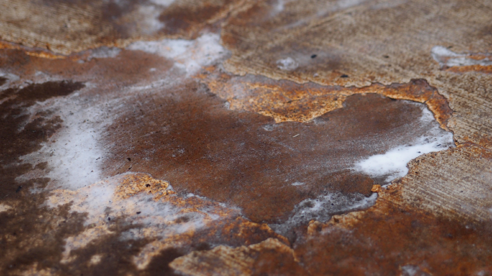 2021-12-09 & 10 Das Kleine Regen Rhythmus Orchester (Schnee auf Alufolie) (Audio, Foto, Typo Grafik)