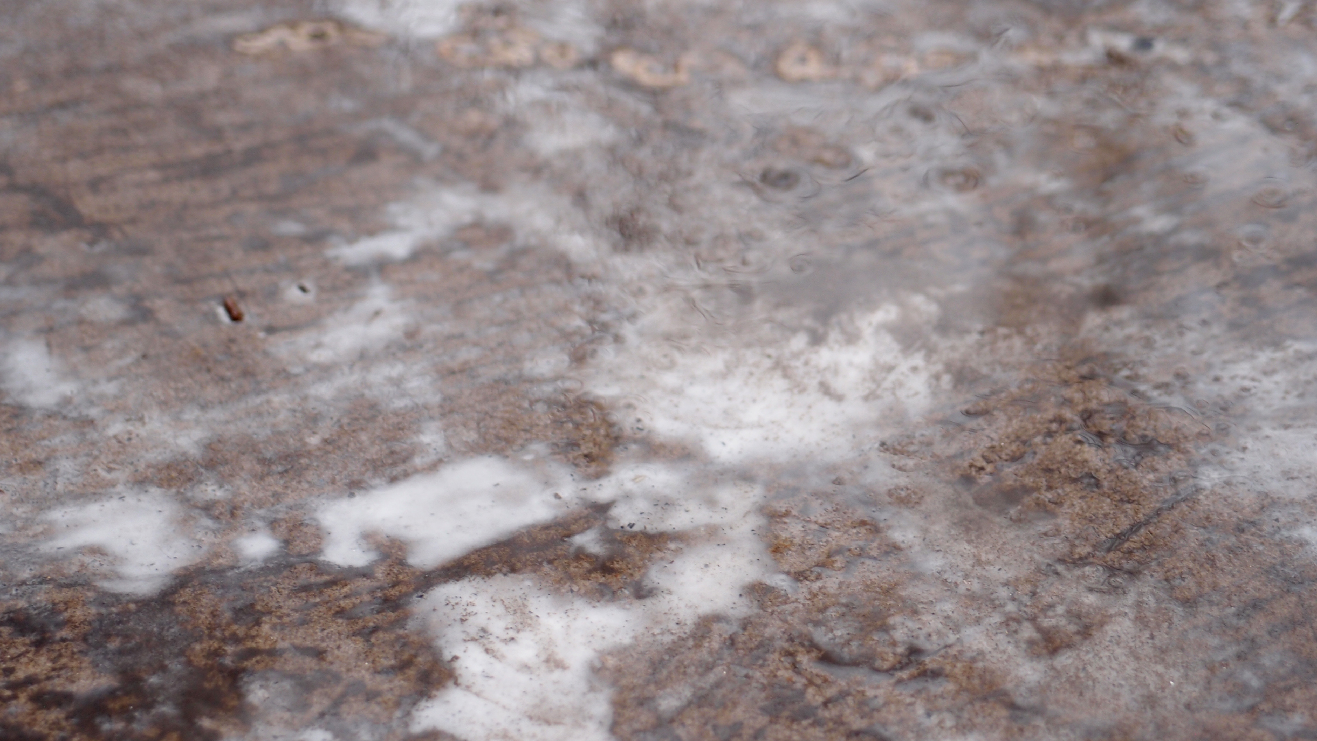 2021-12-09 & 10 Das Kleine Regen Rhythmus Orchester (Schnee auf Alufolie) (Audio, Foto, Typo Grafik)