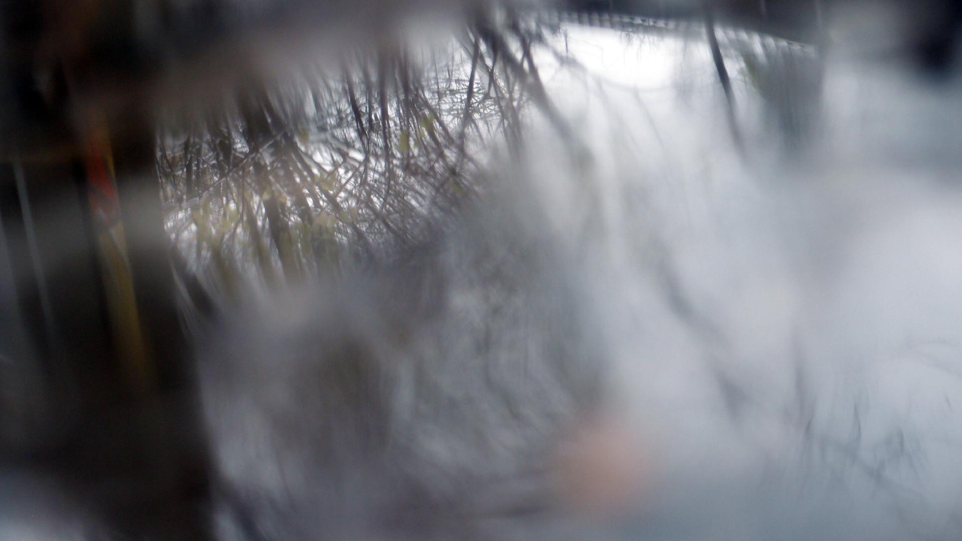 2021-12-09 & 10 Das Kleine Regen Rhythmus Orchester (Schnee auf Alufolie) (Audio, Foto, Typo Grafik)