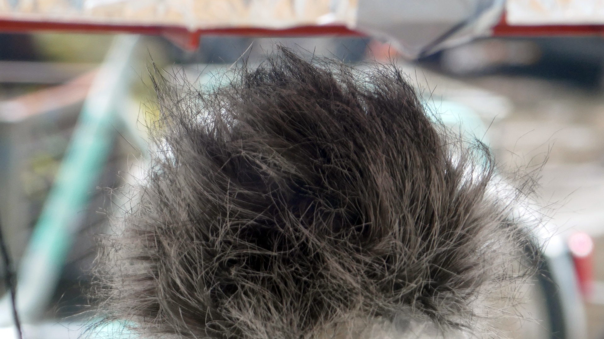 2021-12-30 Das Kleine Regen Rhythmus Orchester (Alufolie) (Audio, Video)