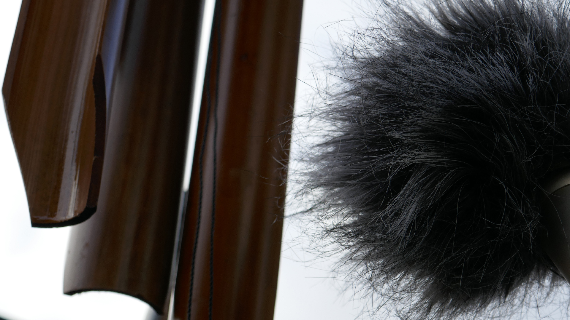 2022-01-03 Das Kleine Regen Rhythmus Orchester (Special Guest: Woodwinds) (Audio, Video)