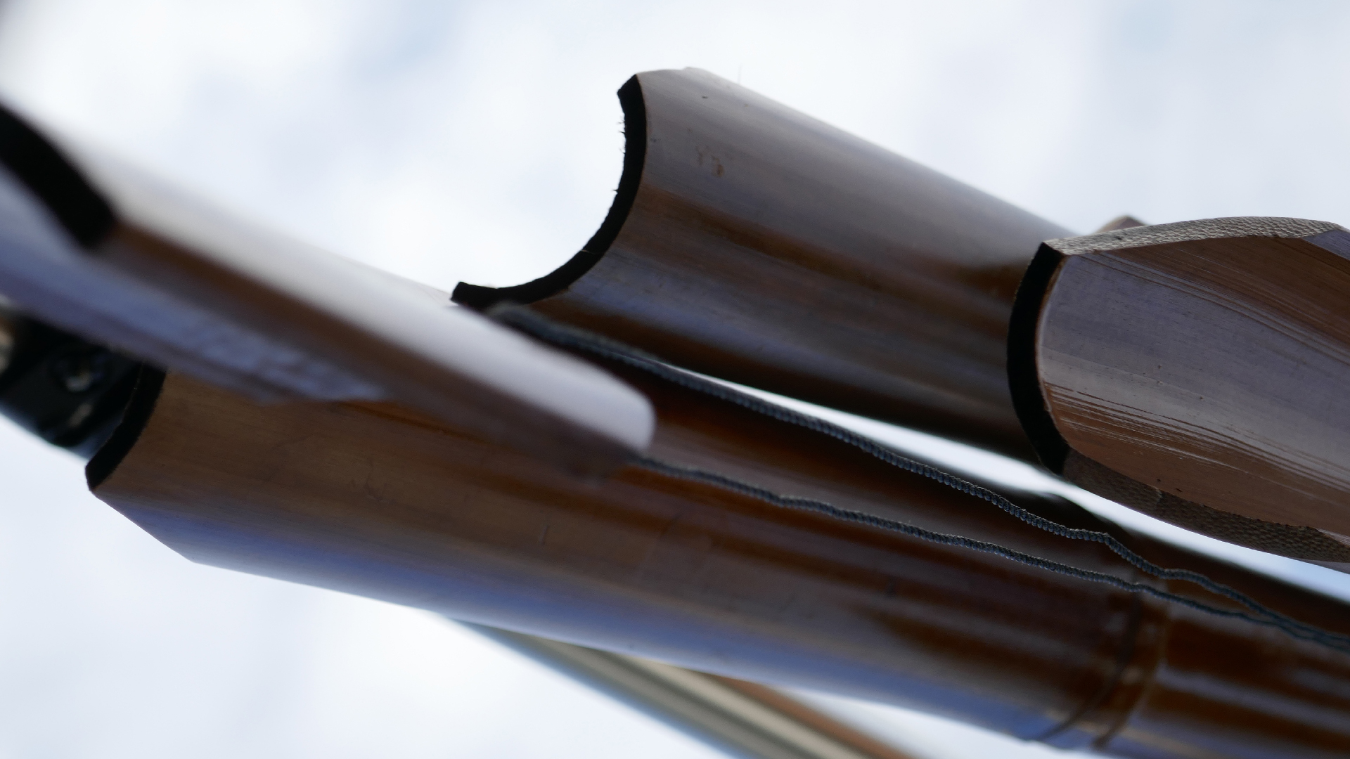 2022-01-03 Das Kleine Regen Rhythmus Orchester (Special Guest: Woodwinds) (Audio, Video)