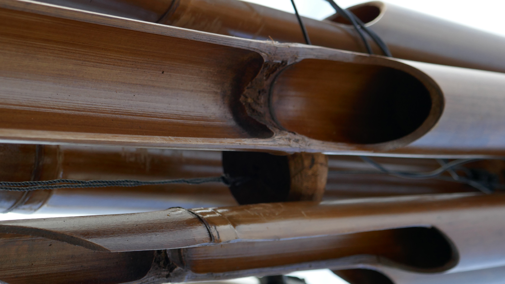 2022-01-03 Das Kleine Regen Rhythmus Orchester (Special Guest: Woodwinds) (Audio, Video)