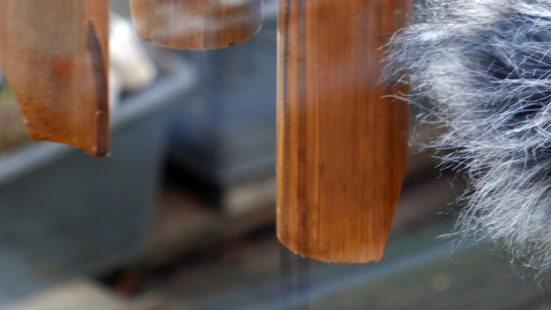 2022-01-03 Das Kleine Regen Rhythmus Orchester (Special Guest: Woodwinds) (Audio, Video)