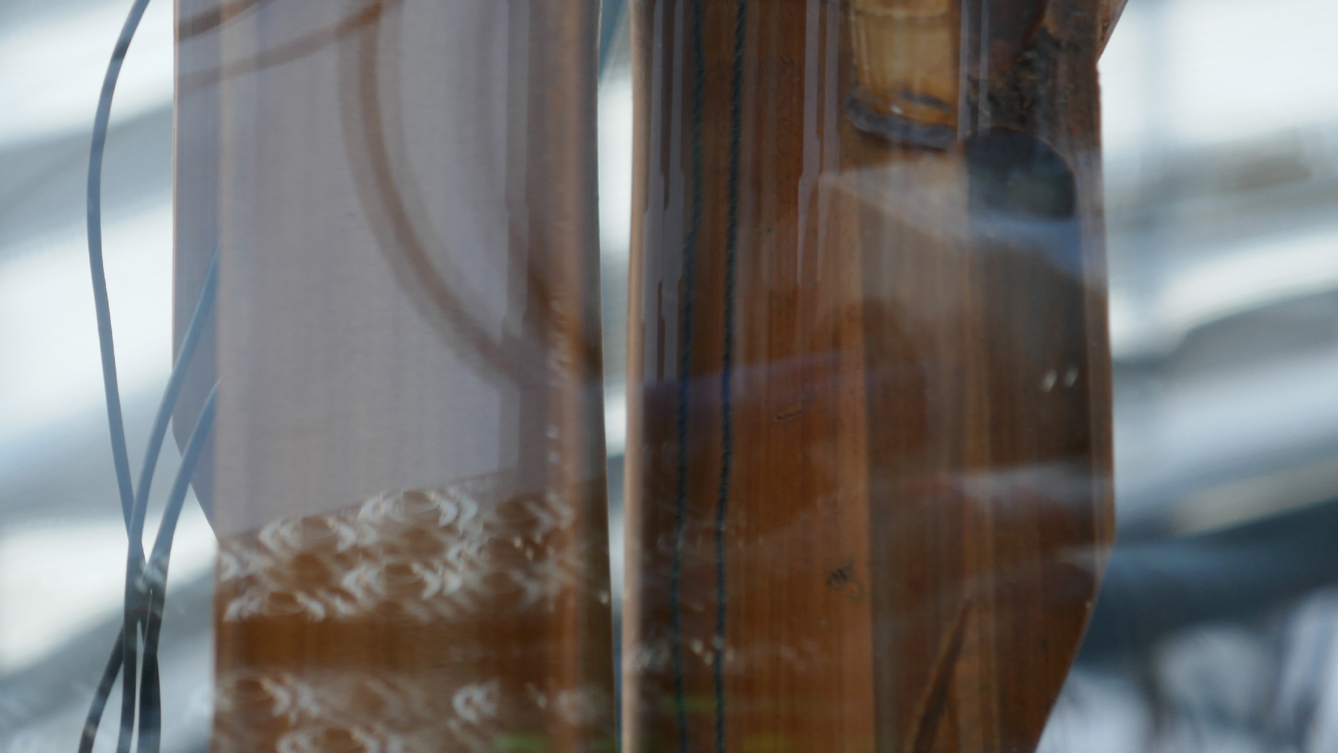 2022-01-03 Das Kleine Regen Rhythmus Orchester (Special Guest: Woodwinds) (Audio, Video)